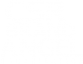 CSR BRAND ANGEL ORGANISATION